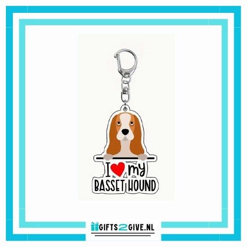Bassethound