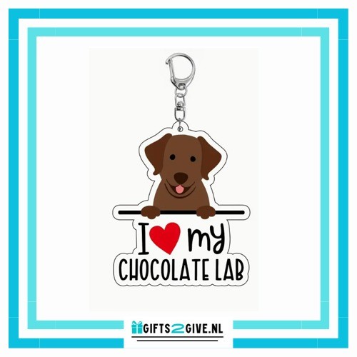 Chocolate lab