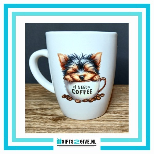 Coffee yorkie
