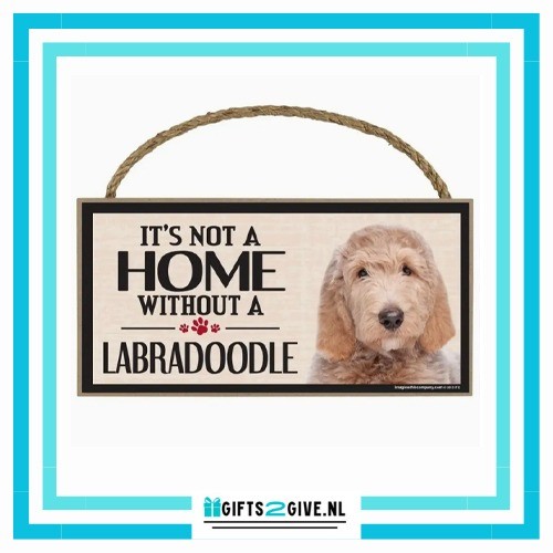 Labradoodle 0