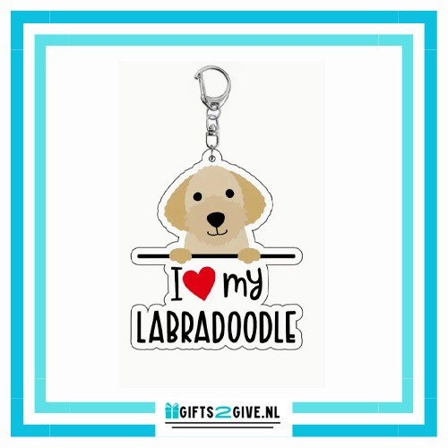 Labradoodle