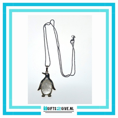 Pinguin bergkrsiatal 1