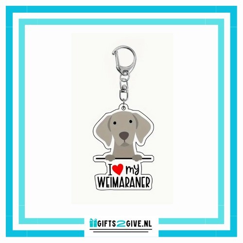 Weimaraner