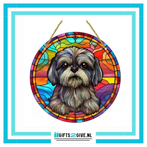 Zonnevanger shih tzu